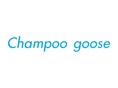 CHAMPOO GOOSE冠軍英文