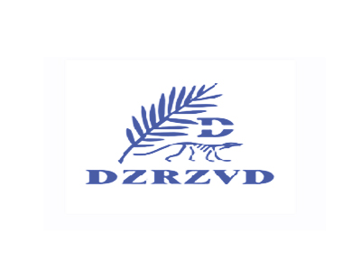 DZRZVD D