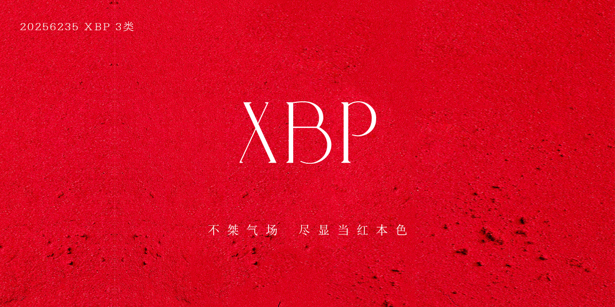 XBP商標(biāo)設(shè)計稿