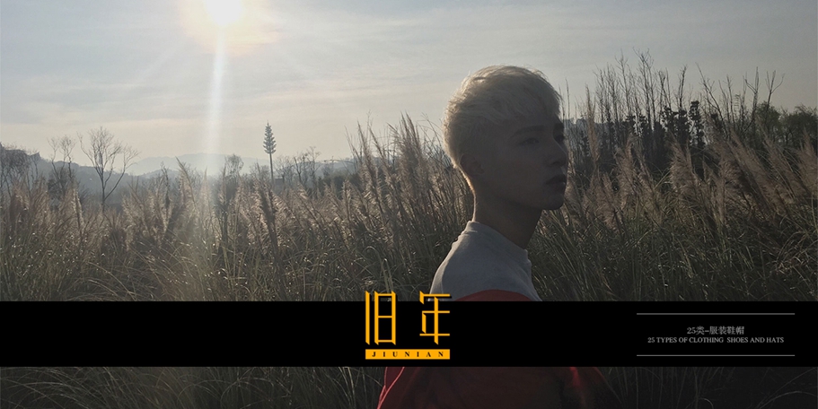 *年商標(biāo)設(shè)計(jì)稿