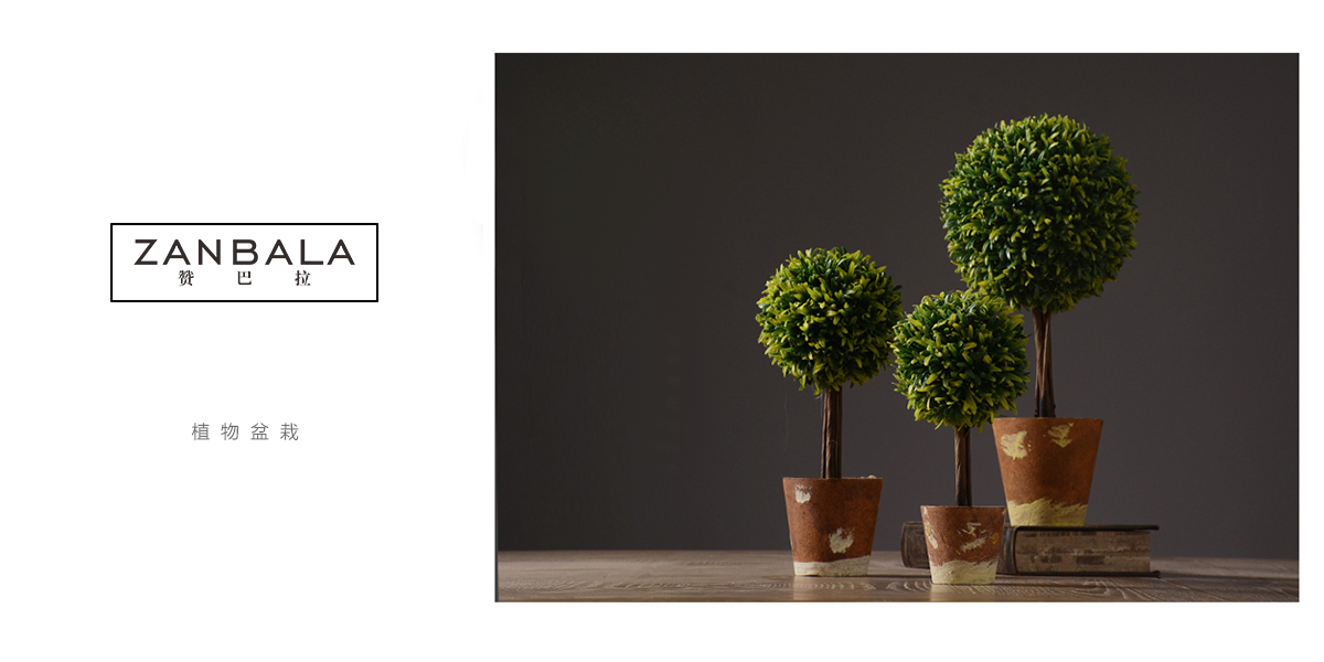 *巴拉商標(biāo)設(shè)計(jì)稿