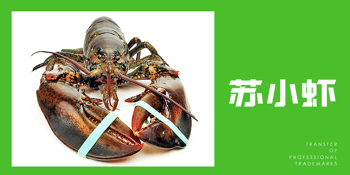 *小蝦商標(biāo)設(shè)計(jì)稿