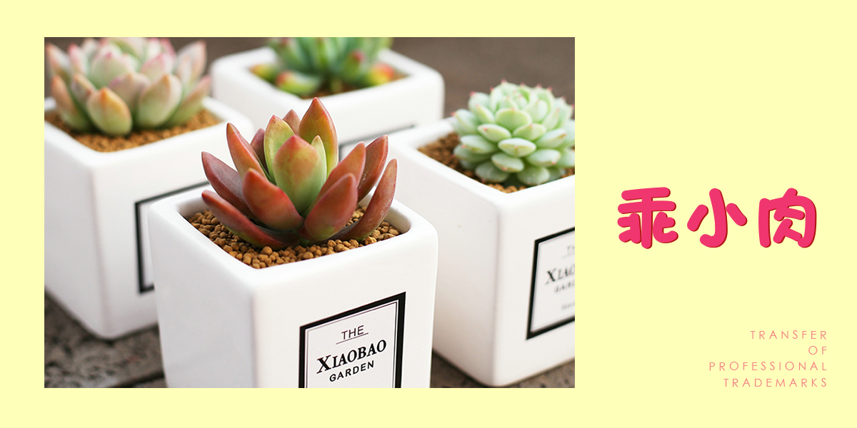 *小肉商標設計稿