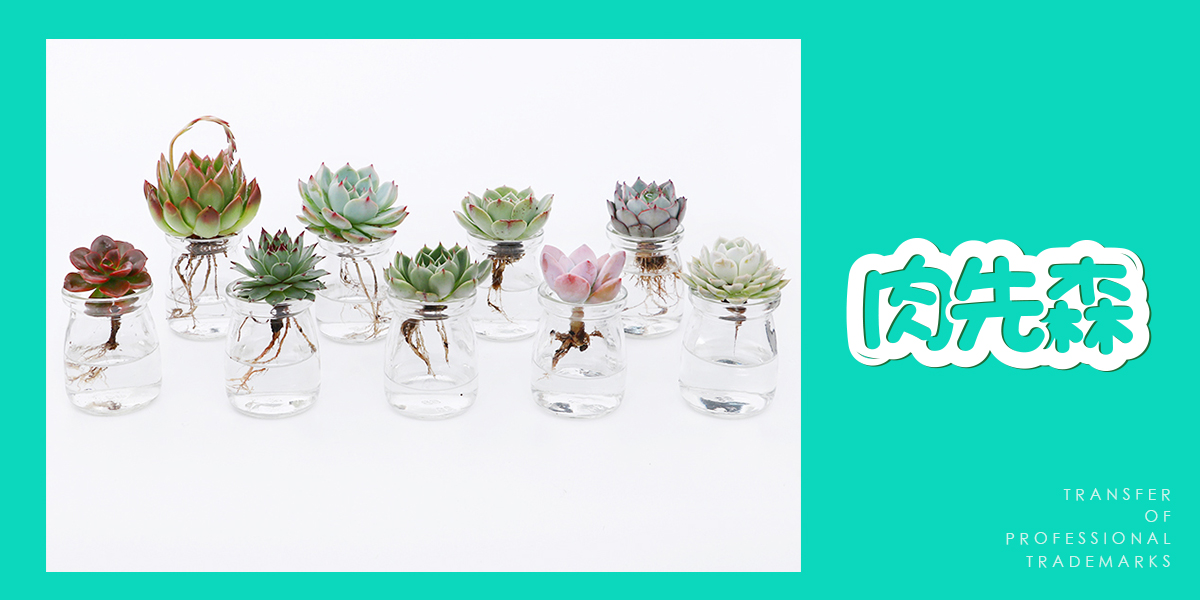 *先森商標設計稿