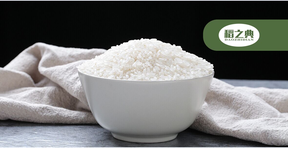 *之典商標設計稿