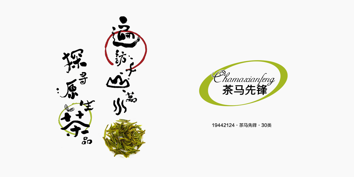 茶馬先鋒商標(biāo)設(shè)計稿