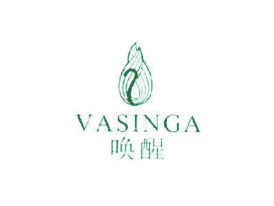 喚醒 VASINGA