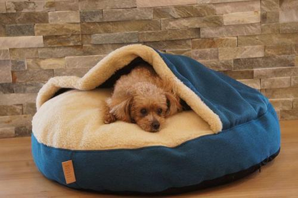 寵物靠墊商標(biāo)轉(zhuǎn)讓材料需要哪些？可以怎么做？