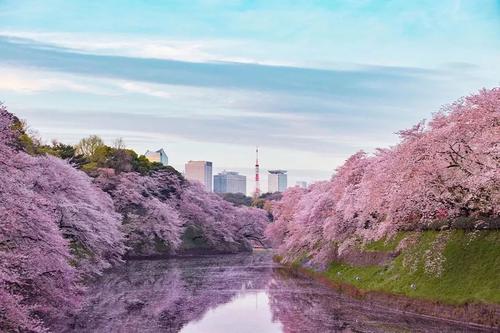 注冊(cè)日本國(guó)際商標(biāo)需要注意哪些事項(xiàng)？