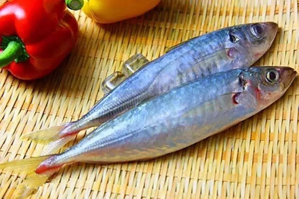 簡(jiǎn)單大氣有深度的魚(yú)制食品商標(biāo)名稱(chēng)大全