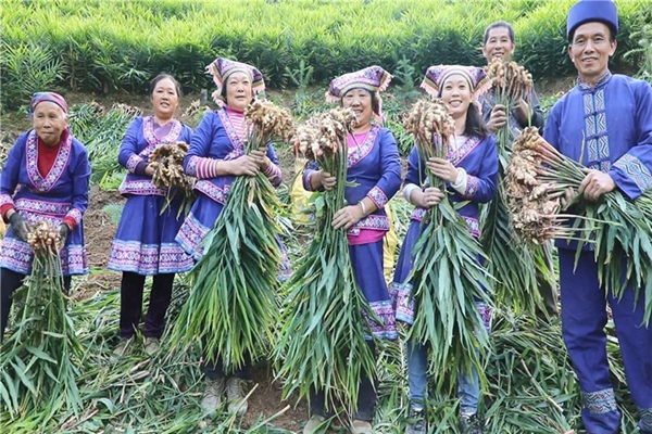 湖南永州“雙牌虎爪姜”國家地理標志證明商標注冊