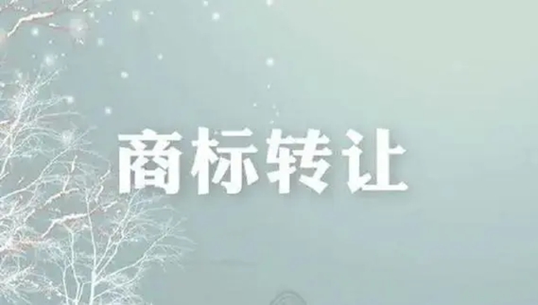 辦理商標(biāo)轉(zhuǎn)讓怎么選擇適合的代理機(jī)構(gòu)？