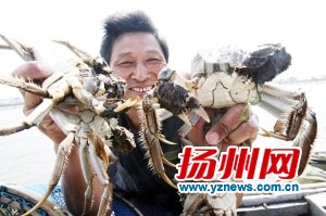 世界地理标志商标大会落户扬州