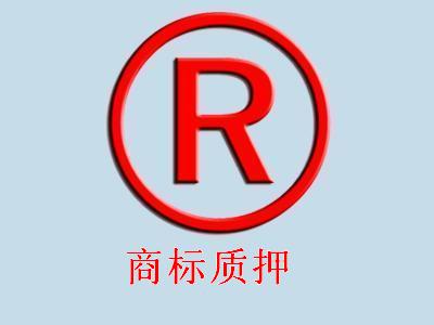 安徽省推動商標(biāo)專用權(quán)質(zhì)押貸款