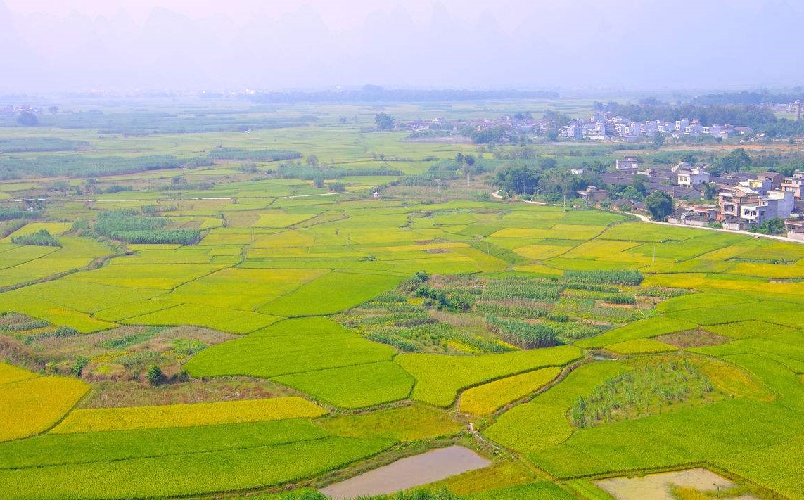 國家“三農”發展戰略為商標富農打造基礎