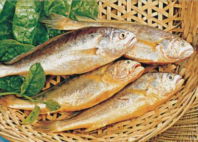 浙江溫州南麂島大黃魚集體商標(biāo)注冊(cè)成功