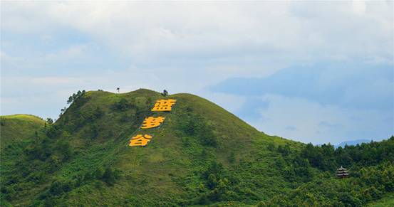 夢之藍(lán)對凱緣春藍(lán)夢谷申請商標(biāo)異議，竟是因商標(biāo)構(gòu)成近似導(dǎo)致公眾混淆