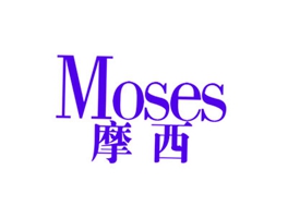 摩西 MOSES