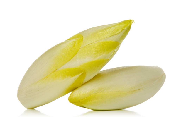 菊苣商标转让属于哪一类？