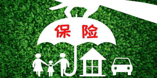 保险经纪商标转让可以在哪一大类中选择小类？
