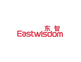 東智 EASTWLSDOM