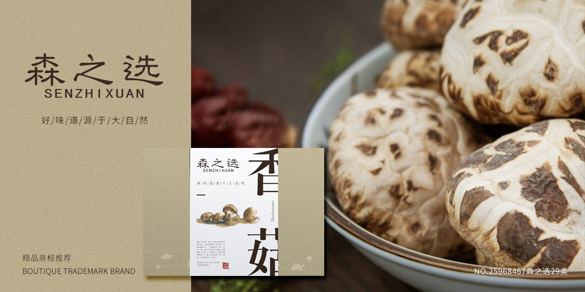 *之選商標設計稿