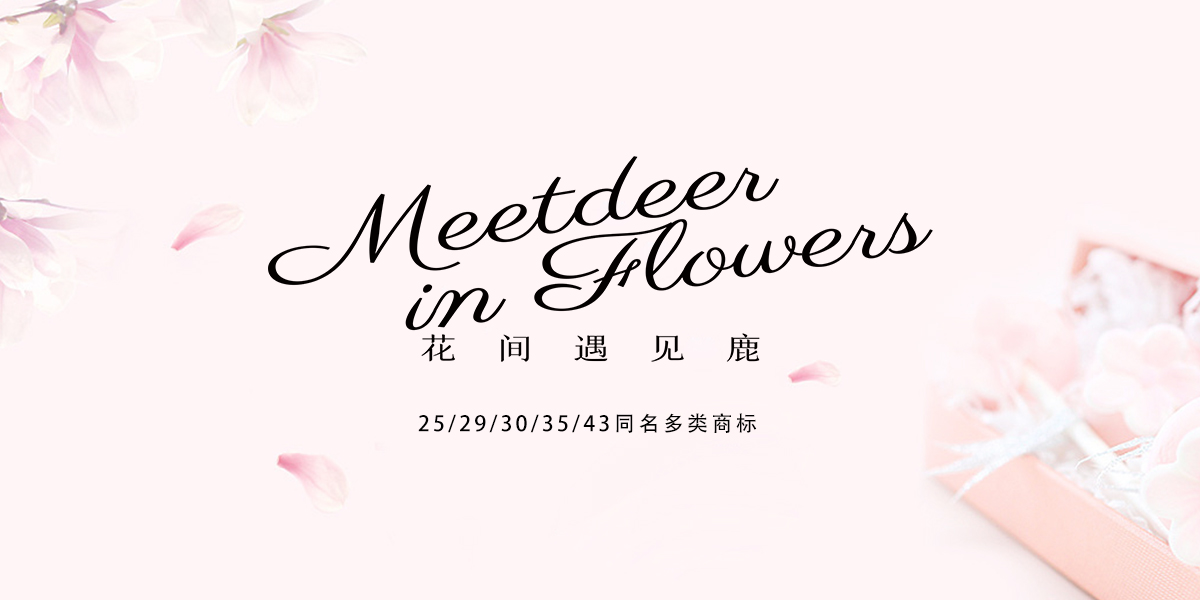 *間遇見(jiàn)鹿*EETDEERINFLOWERS商標(biāo)設(shè)計(jì)稿