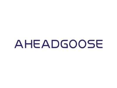 AHEADGOOSE