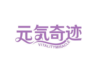 元?dú)馄孥E VITALITYMIRACLE