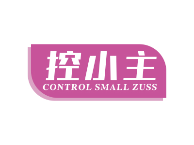 控小主 CONTROL SMALL ZUSS