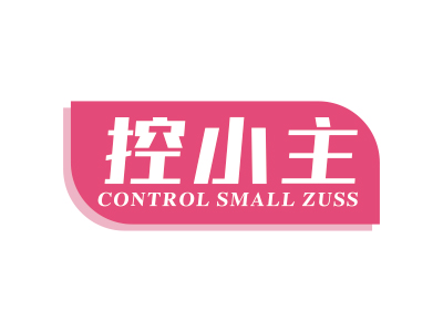 控小主 CONTROL SMALL ZUSS