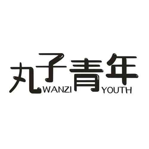 丸子青年 WANZI YOUTH