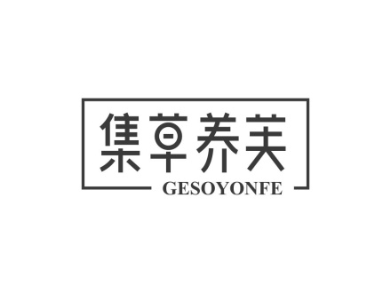 集草養(yǎng)芙 GESOYONFE