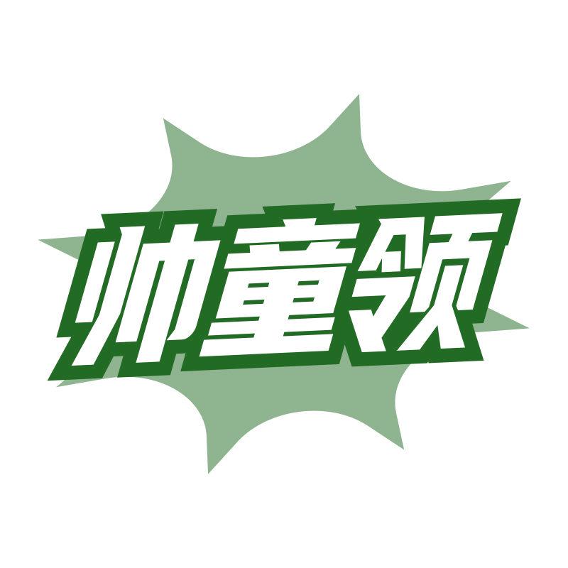 帥童領(lǐng)