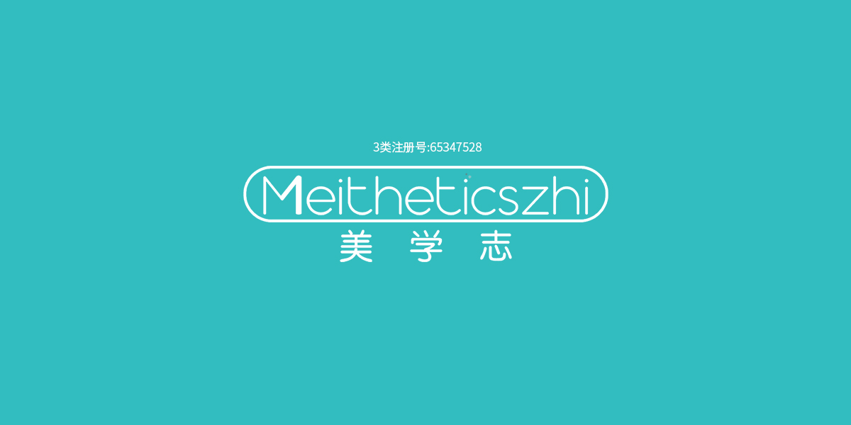 美學(xué)志 MEITHETICSZHI商標(biāo)設(shè)計(jì)稿