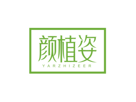 顏植姿  YARZHIZEER