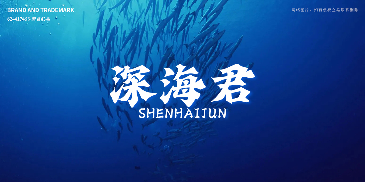 *海君商標(biāo)設(shè)計(jì)稿