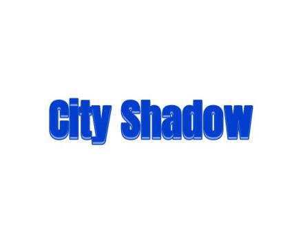 CITY SHADOW