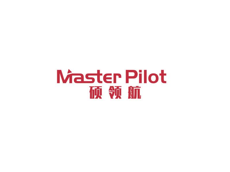 碩領(lǐng)航 MASTER PILOT