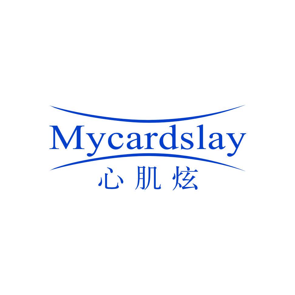 心肌炫 MYCARDSLAY