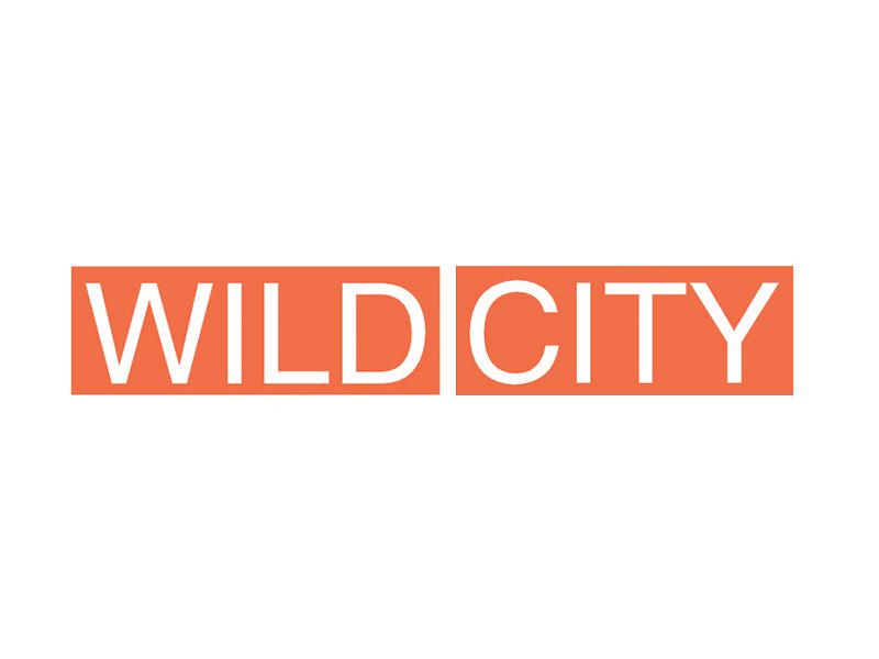 WILD CITY