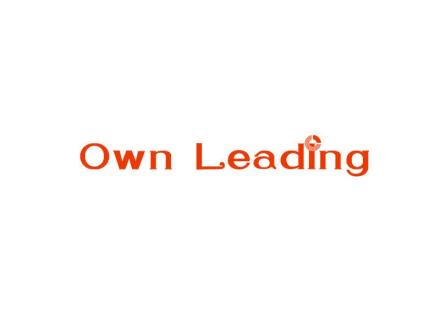 OWN LEADING（我的路）