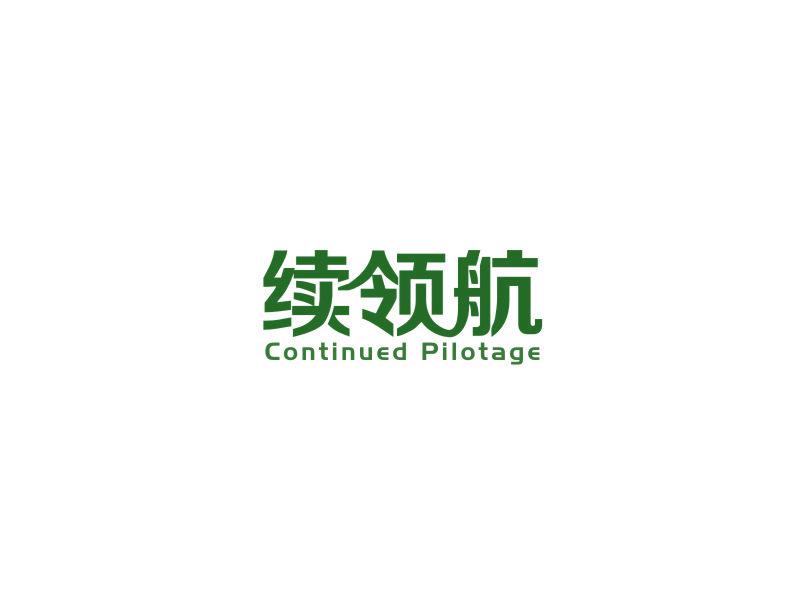 續(xù)領(lǐng)航 CONTINUED PILOTAGE