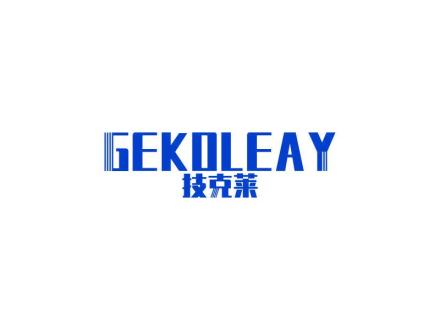 技克萊 GEKOLEAY