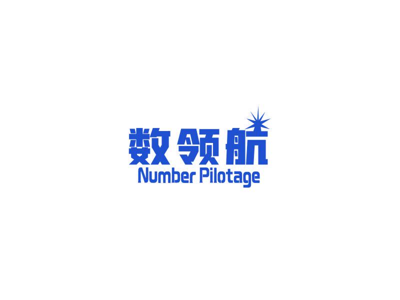 數(shù)領(lǐng)航 NUMBER PILOTAGE