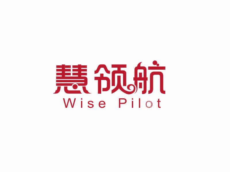 慧領(lǐng)航 WISE PILOT