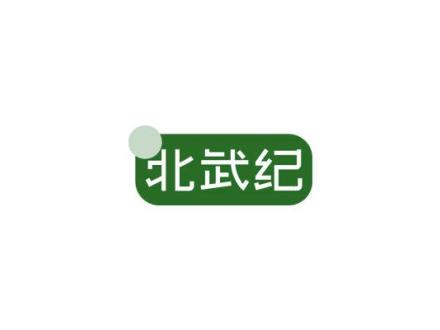 北武紀(jì)