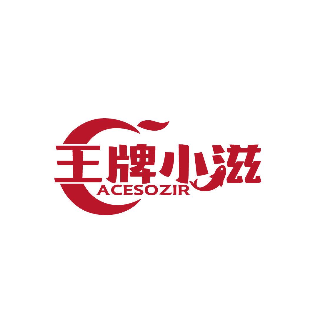 王牌小滋 ACESOZIR