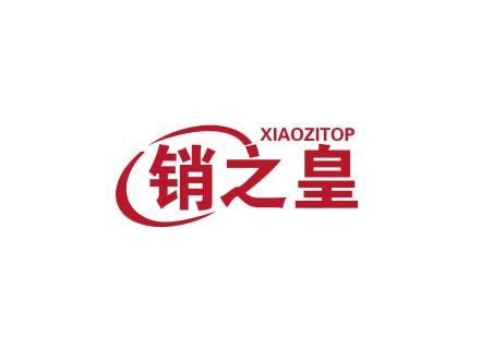 銷之皇 XIAOZITOP