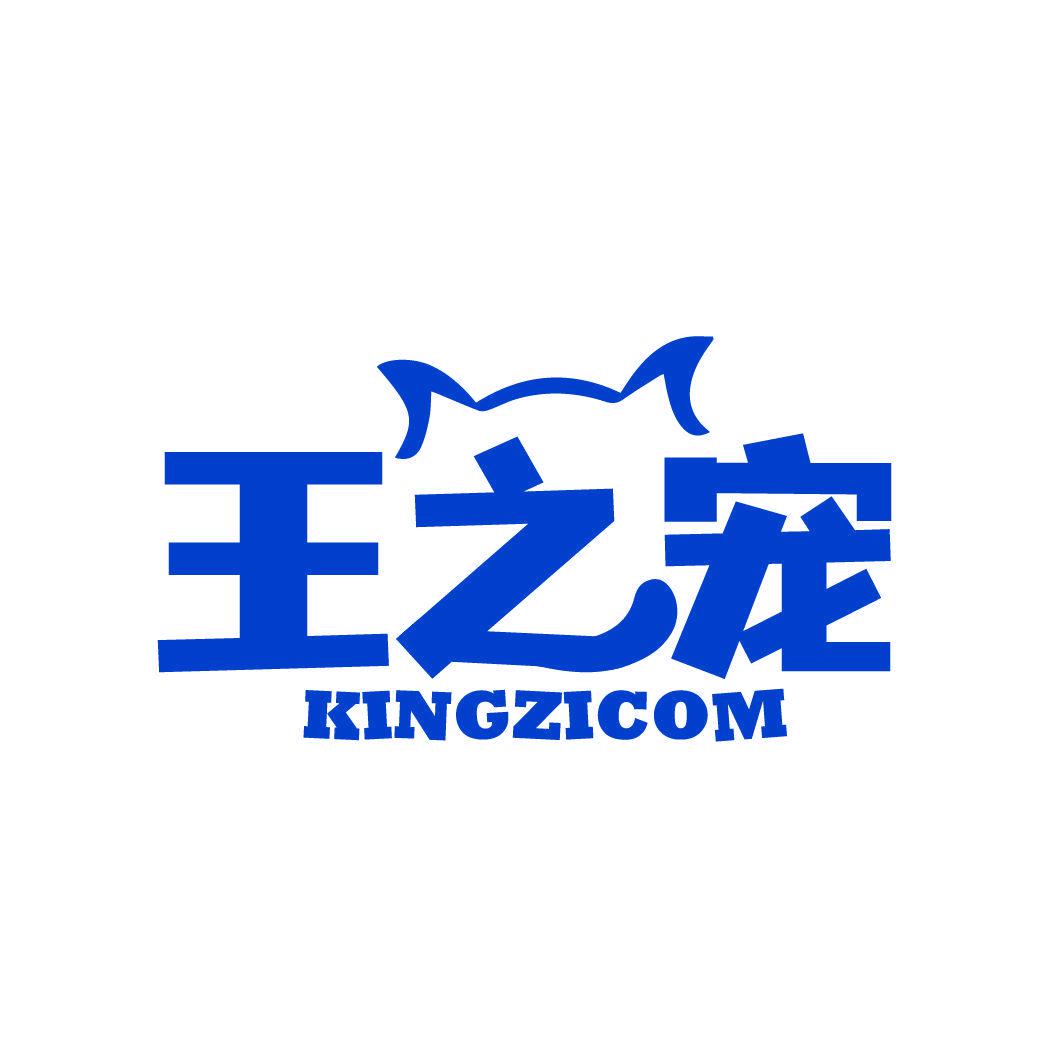 王之寵 KINGZICOM